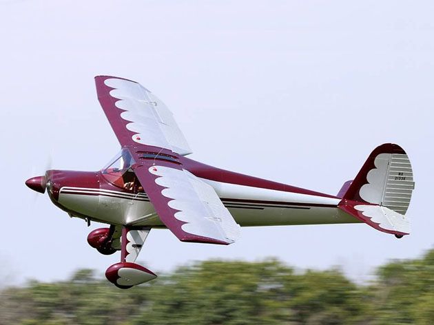 Luscombe 8A Sky Pal Vector