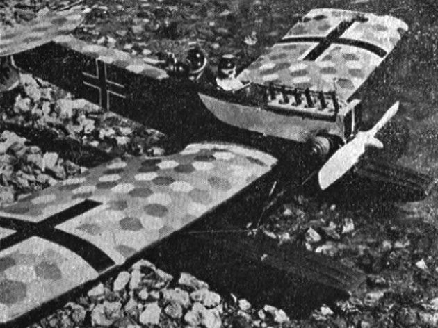 Brandenburg Sea Monoplane