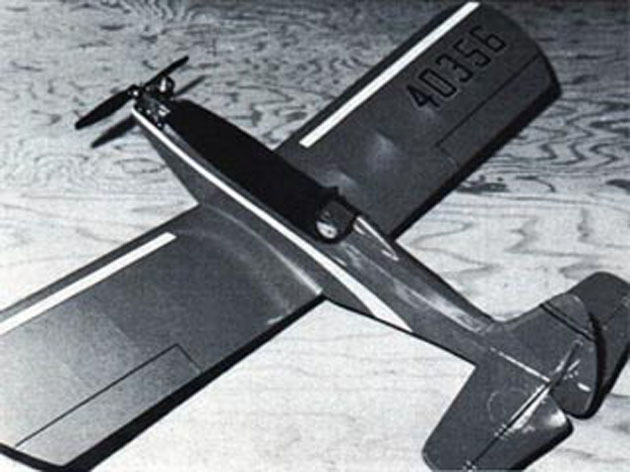 Name The Plane (Lil Gigi)