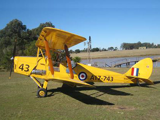 Tiger Moth