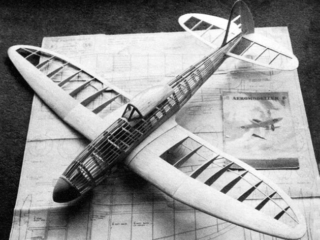 Fighter Glider Vector