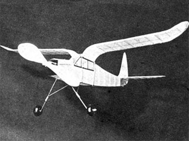 Cabin Gull Wing