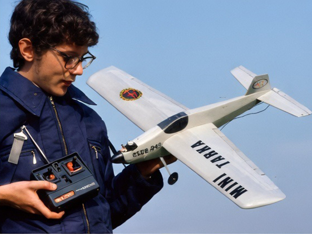 Mini Tarka Vector
