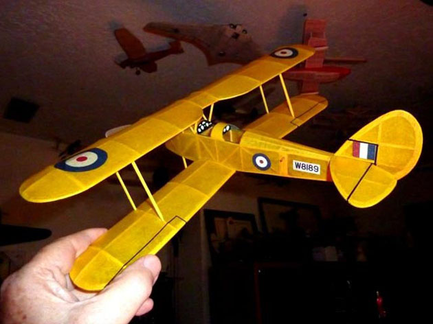 Tiger Moth